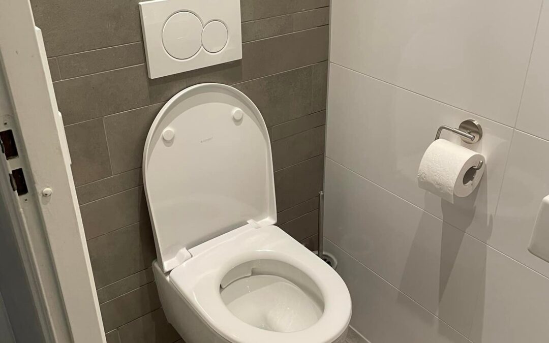 Renovatie toilet basic Zeggemeen Harderwijk